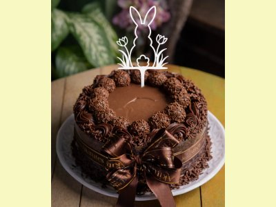 Coelho 4 - De costas